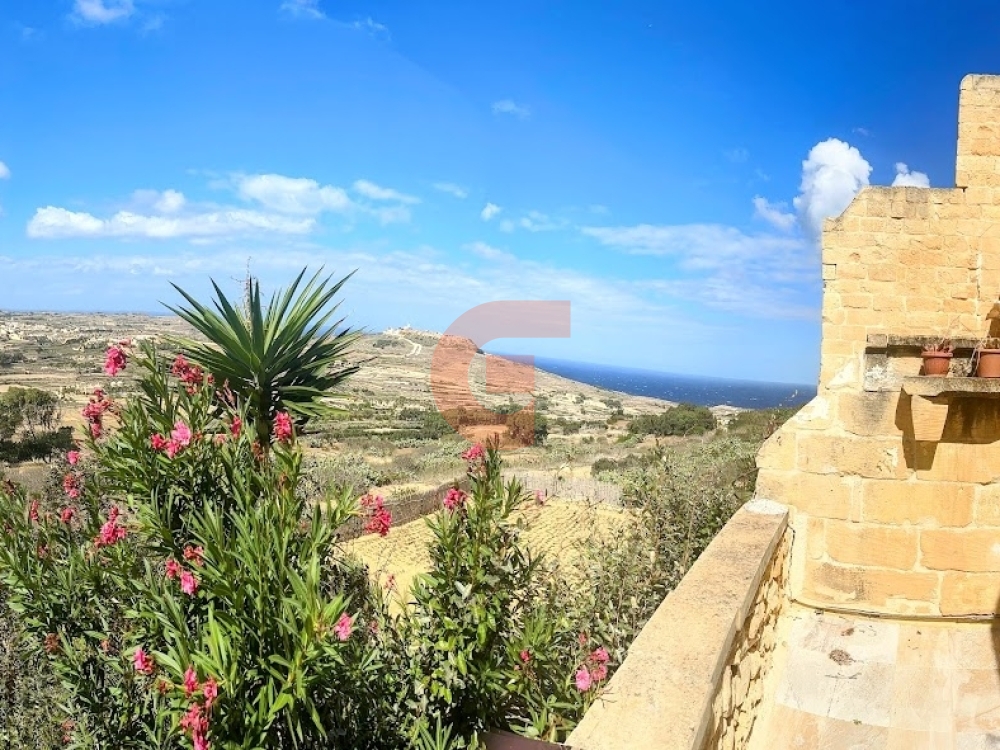 IMG_5779-EDIT IMG_5779-EDIT