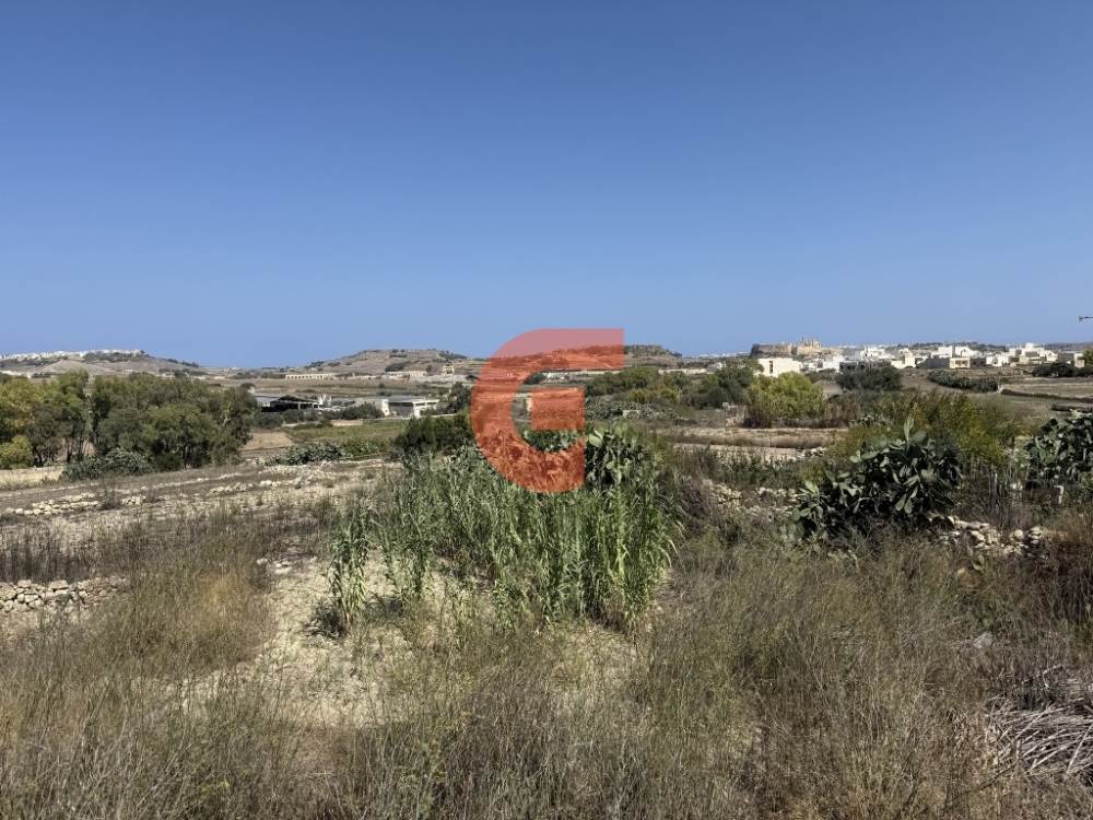 558615833_122157678476771857_7441124286063053778_n 558615833_122157678476771857_7441124286063053778_n