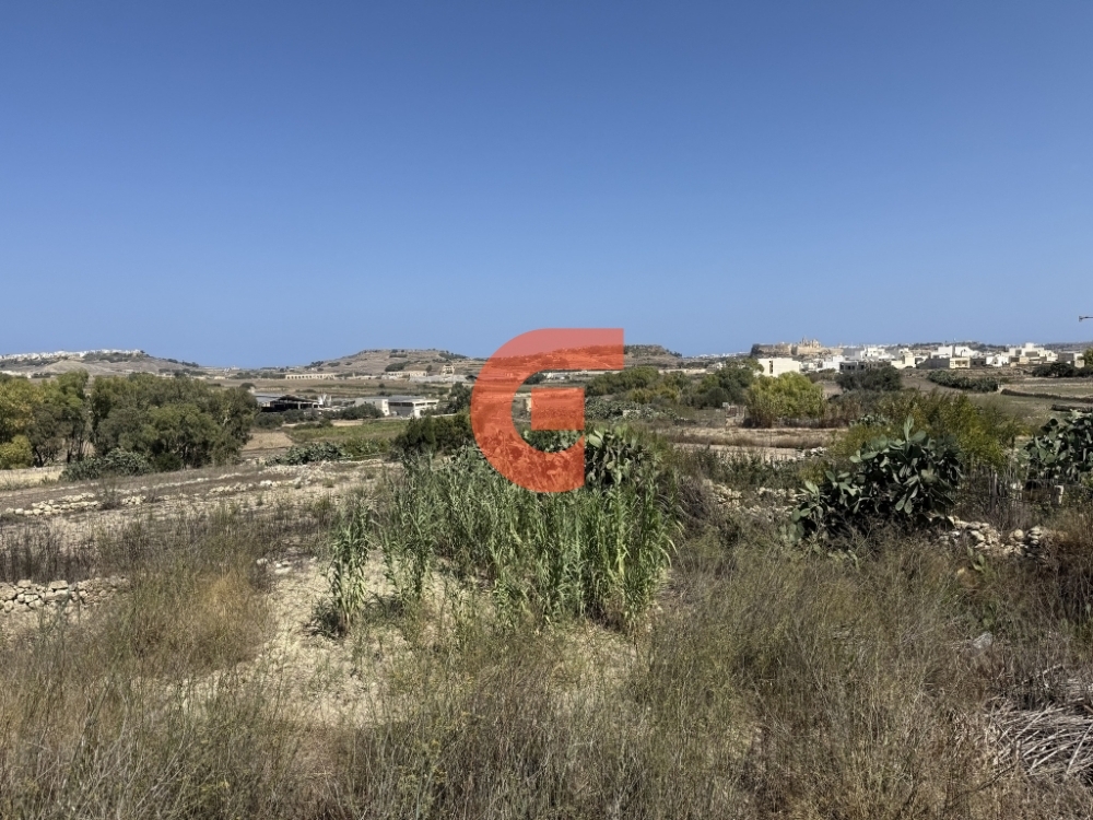 558615833_122157678476771857_7441124286063053778_n 558615833_122157678476771857_7441124286063053778_n