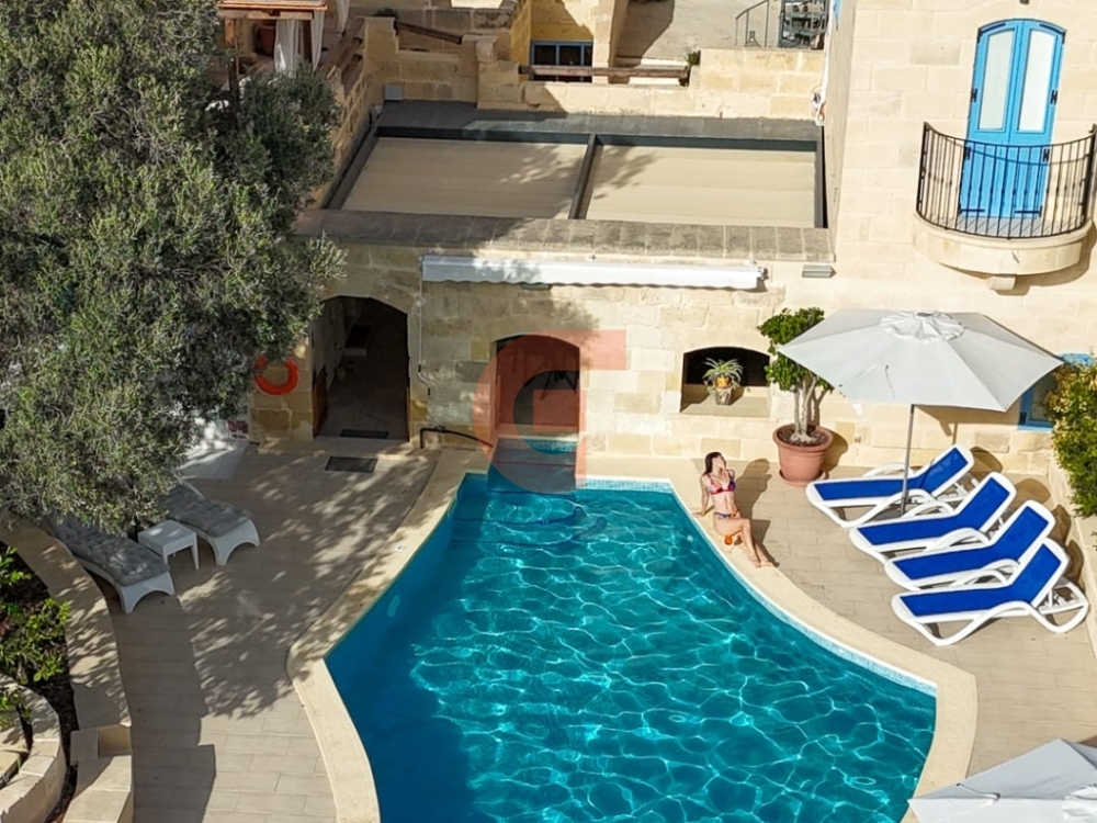 555804162_122094432543050925_7590363835283782770_n 555804162_122094432543050925_7590363835283782770_n