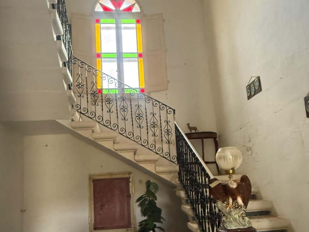 WhatsApp Image 2025-11-12 at 14.59.46 WhatsApp Image 2025-11-12 at 14.59.46