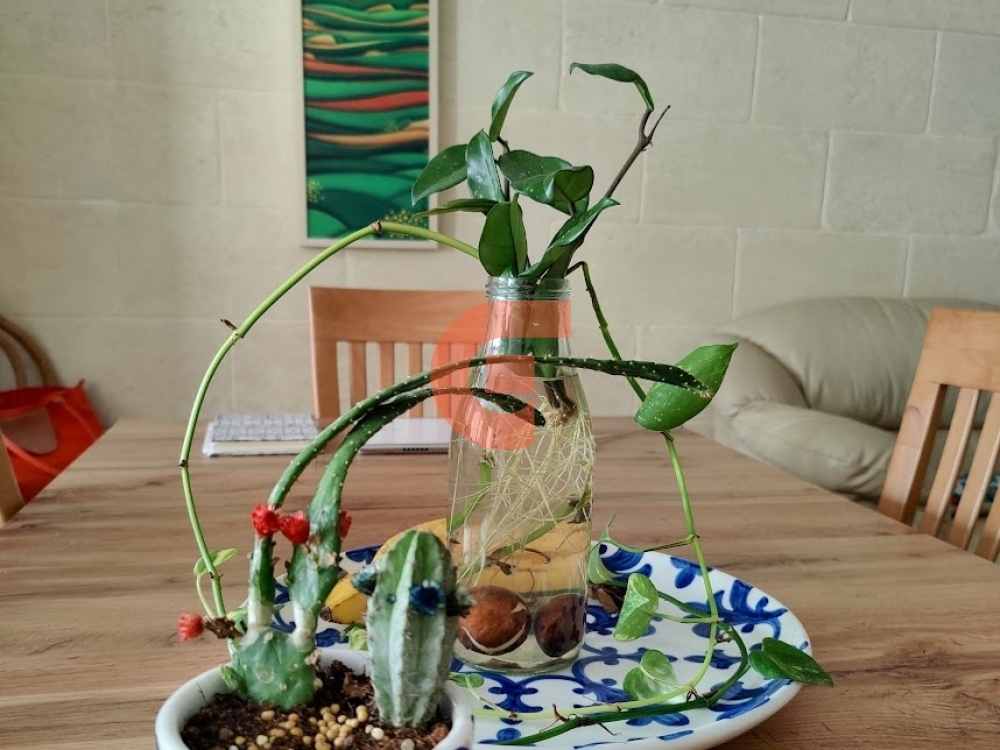 Dining Table Dining Table