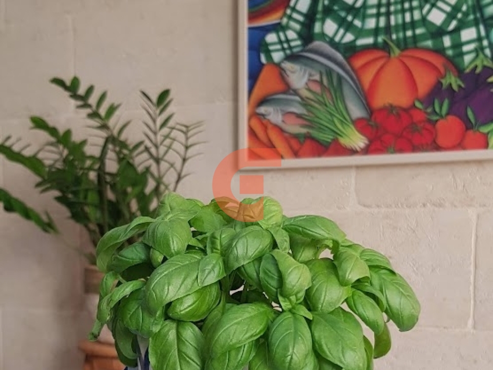 Kitchen island 2 Kitchen island 2